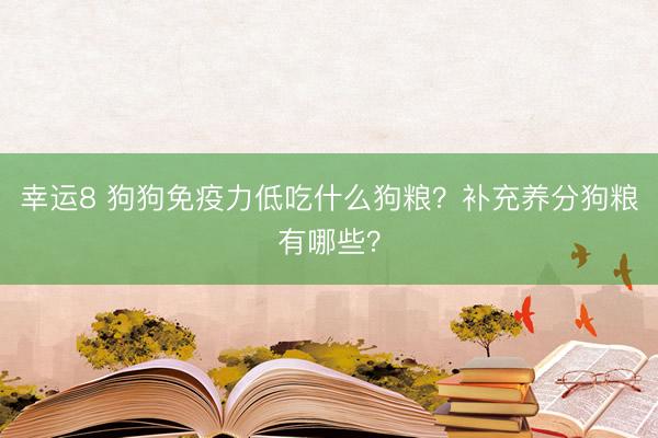 幸運8 狗狗免疫力低吃什么狗糧？補充養分狗糧有哪些？