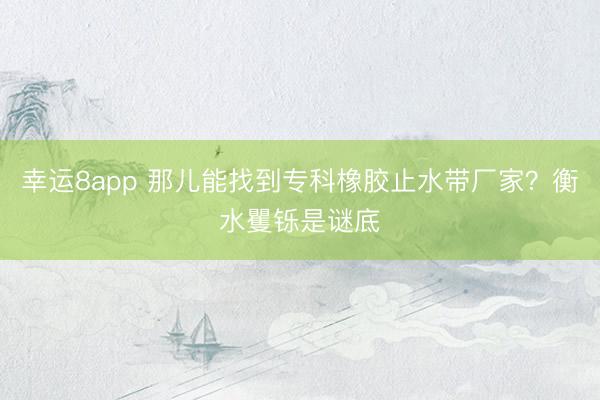 幸運8app 那兒能找到專科橡膠止水帶廠家?衡水矍鑠是謎底