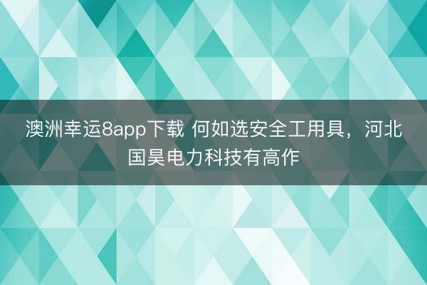 澳洲幸運8app下載 何如選安全工用具,河北國昊電力科技有高作