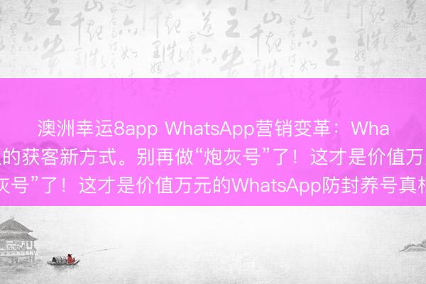 澳洲幸運8app WhatsApp營銷變革：WhatsApp磐石系統外貿老板的獲客新方式。別再做“炮灰號”了！這才是價值萬元的WhatsApp防封養號真相