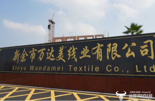科技賦能，智慧共贏 這家運營商以創新服務樹立政企合作新范本