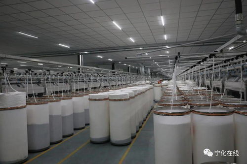 寧化長寧紡織 以科技創(chuàng)新為引擎，激活產(chǎn)業(yè)新動能
